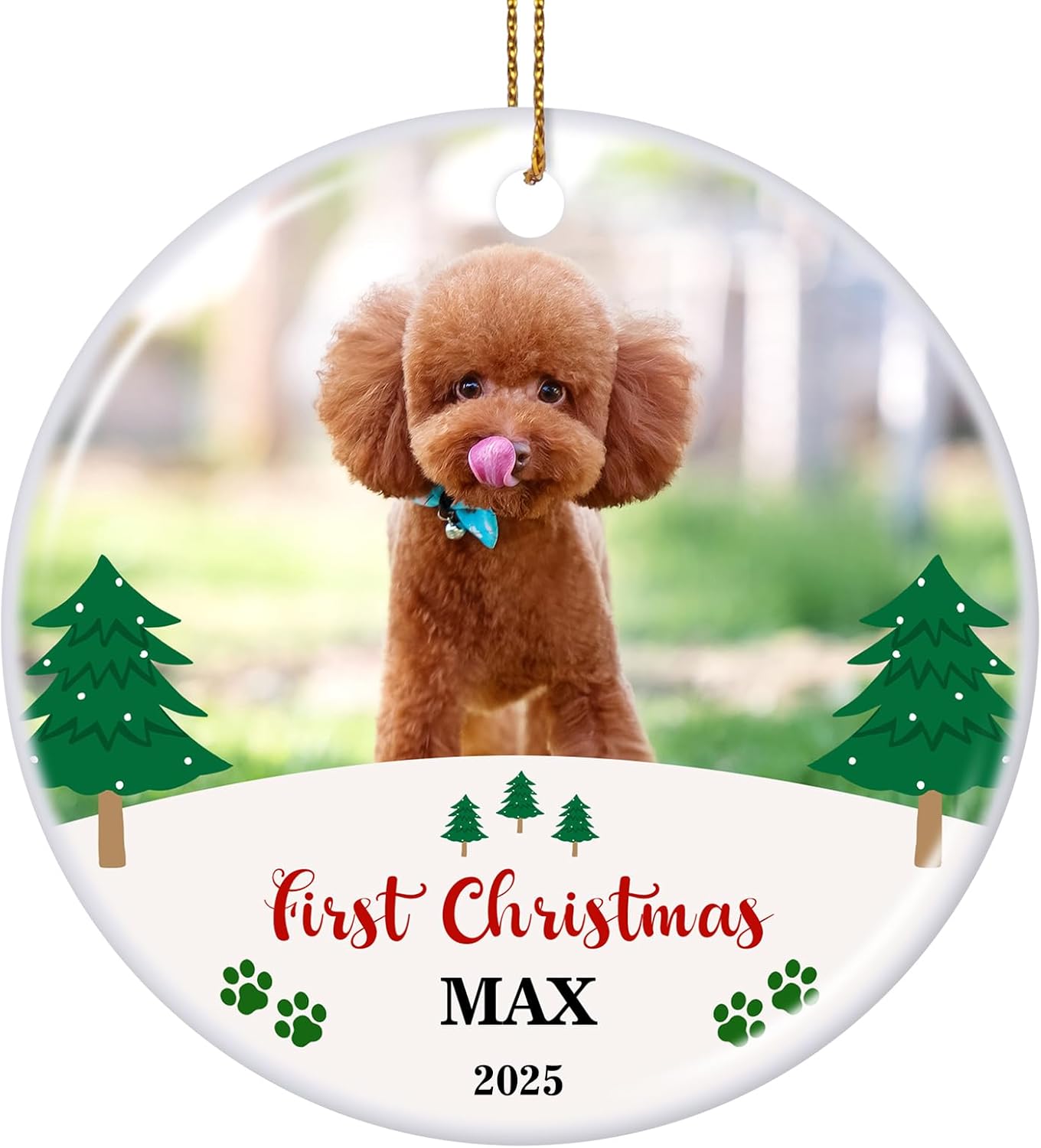 Valyria Personalized Christmas Ornament 2025 Custom Pet Memorial Gifts Photo Ornament Dog Cat First Christmas Ornaments Customized Xmas Tree Decorations Keepsake Gift for Dog Lovers, Pet Lovers