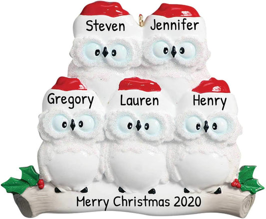 3D Owl Family of 5 Christmas Ornament 2025 Personalized Family Christmas Ornaments 2025 | White Holiday Keepsake Personalized Tree Ornaments Customizable Gifts Woodland Owls of Five Ornament Holly