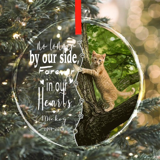 Personalized Glass Ornaments, Custom Glass Ornament with Name/Photo/Date,Customized Gifts for Pet, Round Designs