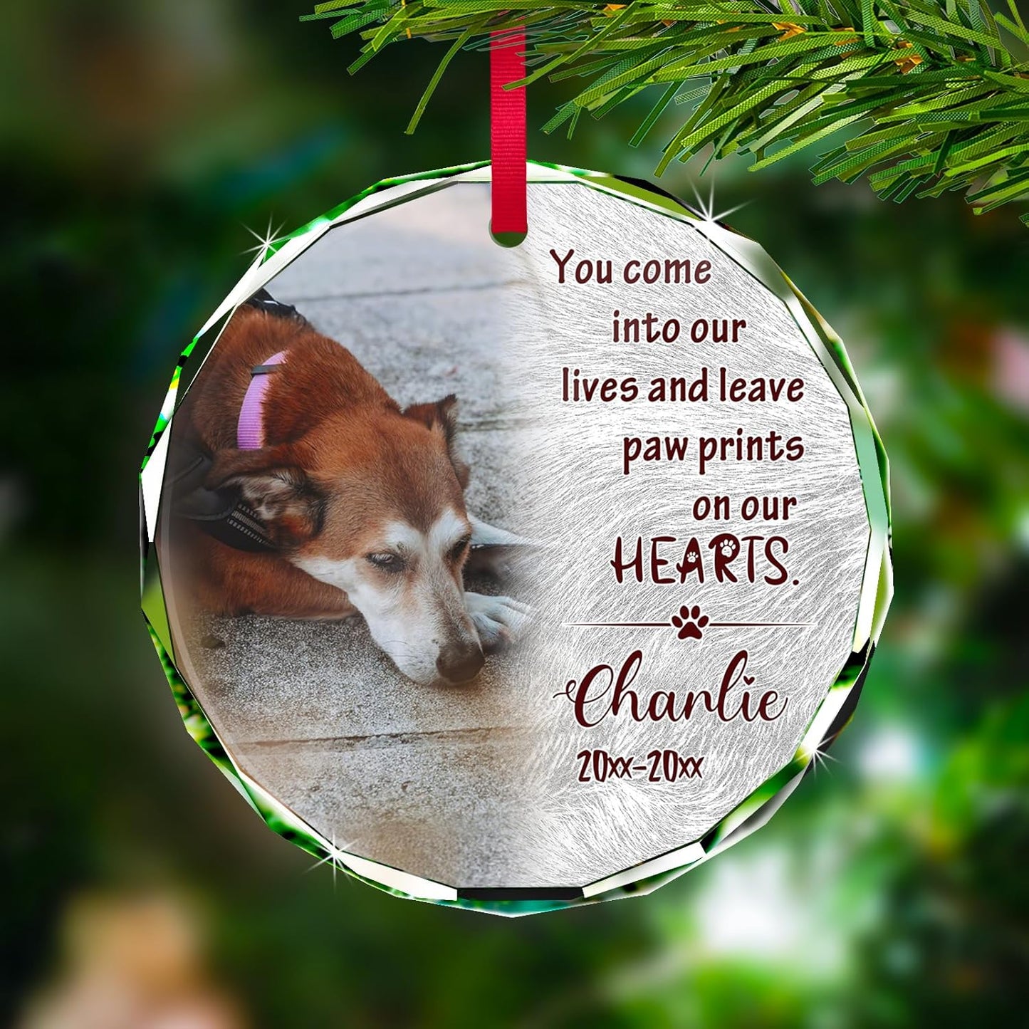 Personalized Memorial Pet Glass Ornament - Custom Picture Christmas Ornaments, Dog Forever in Our Hearts Hanging Ornament Xmas Tree Decor for Dog Lovers