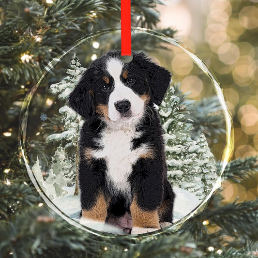 Personalized Christmas Ornaments, Custom Glass Ornament with Photo,Customized Christmas Tree Decor Gifts for Pet, Dad, Mom, Him, Her,Snowman