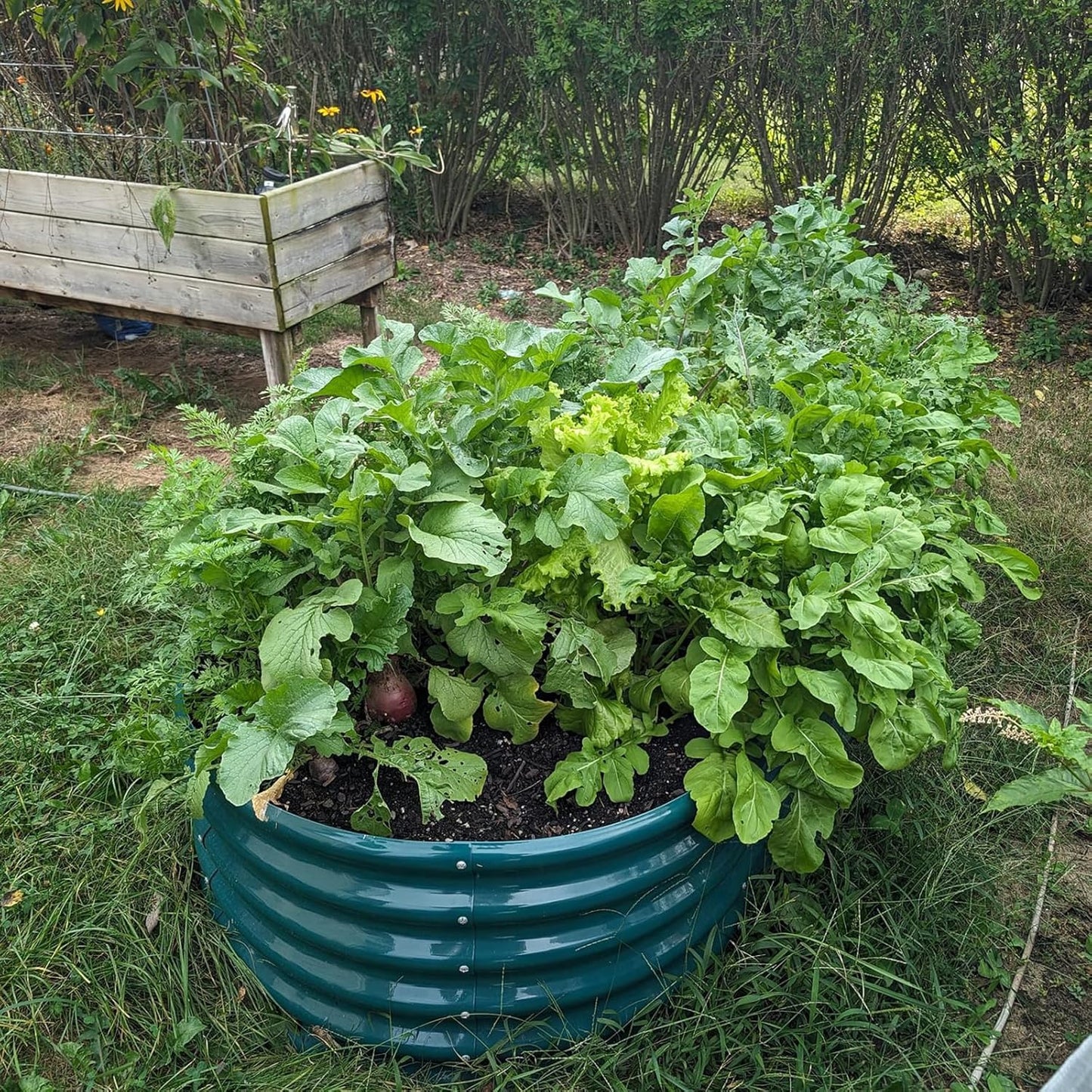 1 Pack 8x3x1.5FT Galvanized Raised Garden Bed Kit Oval Metal Ground Planter Box Outdoor Bottomless Planter Raised Beds for Vegetables Flowers Herbs Fruits, Green